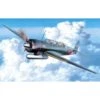Hasegawa Maquette Avion Nakajima C6N1 Saiun Myrt