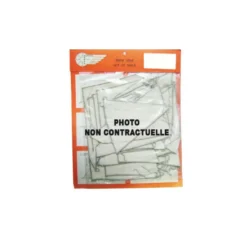 Voiles Pour Astrolabe De MANTUA